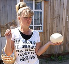 Страус  - птица северная